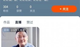 回到农村开直播重生91,91年代农村直播传奇