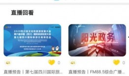 攀枝花91台直播,带你领略这座城市的魅力瞬间